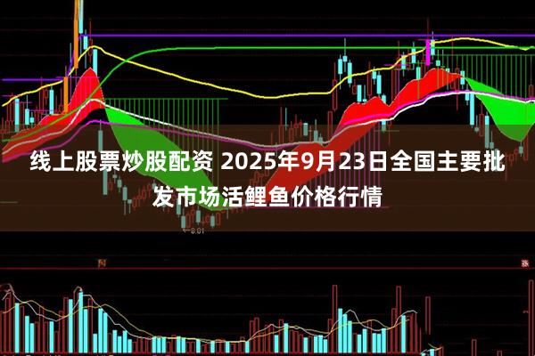 线上股票炒股配资 2025年9月23日全国主要批发市场活鲤鱼价格行情